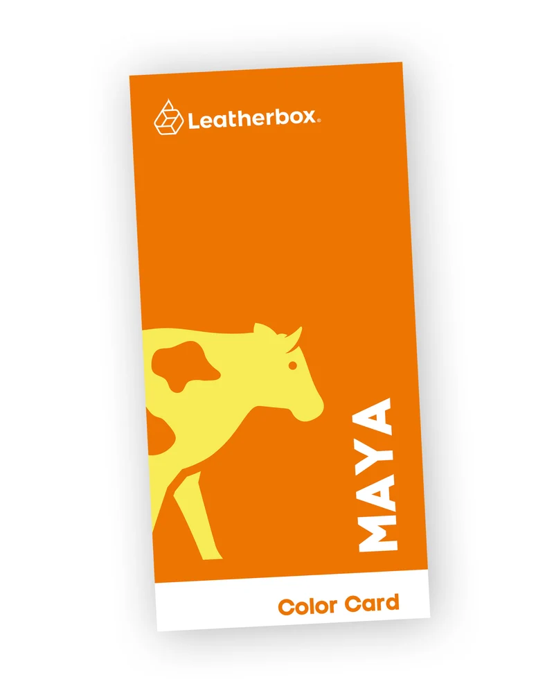 Color Card | Maya collection