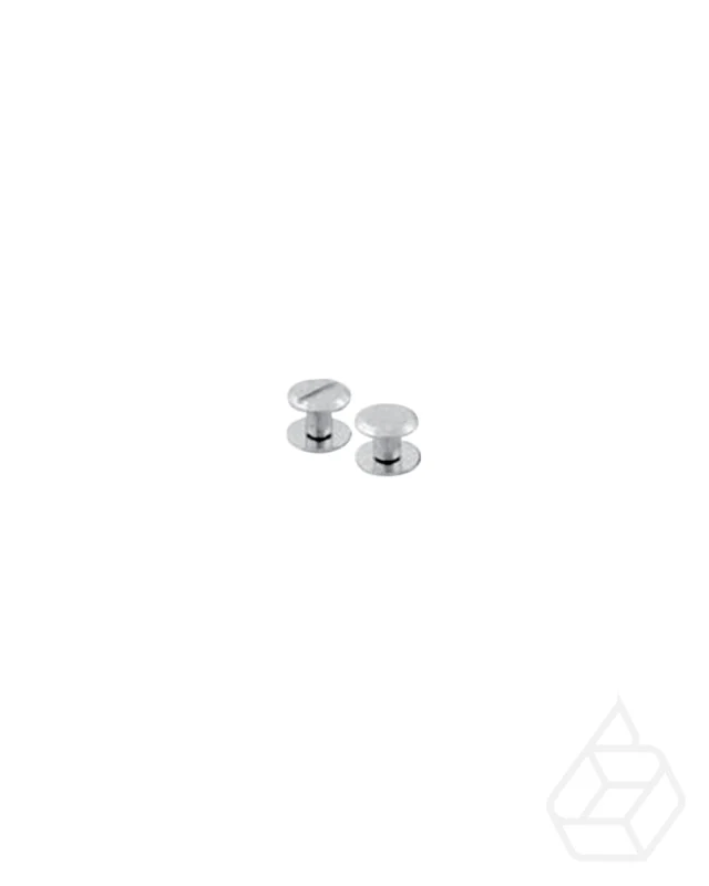 Belt screws with screw slot, or flat head | Silver (4 pieces)