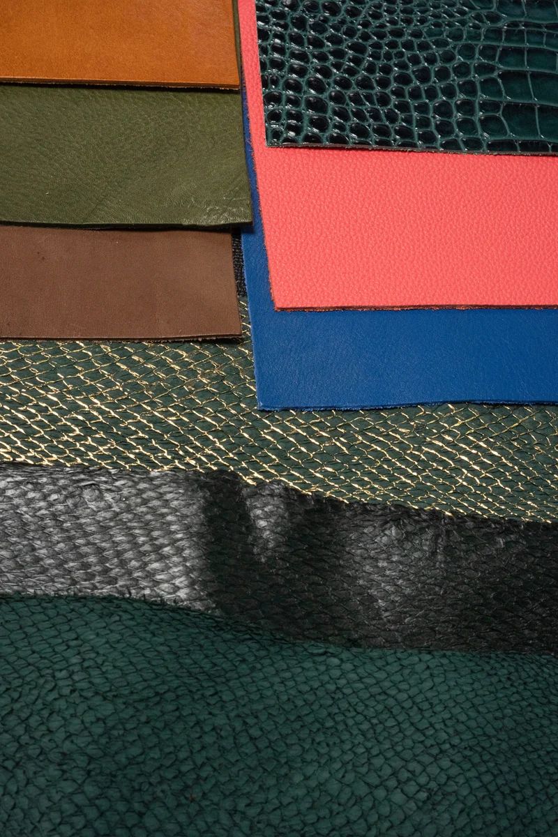 Workshop | Leather recognition