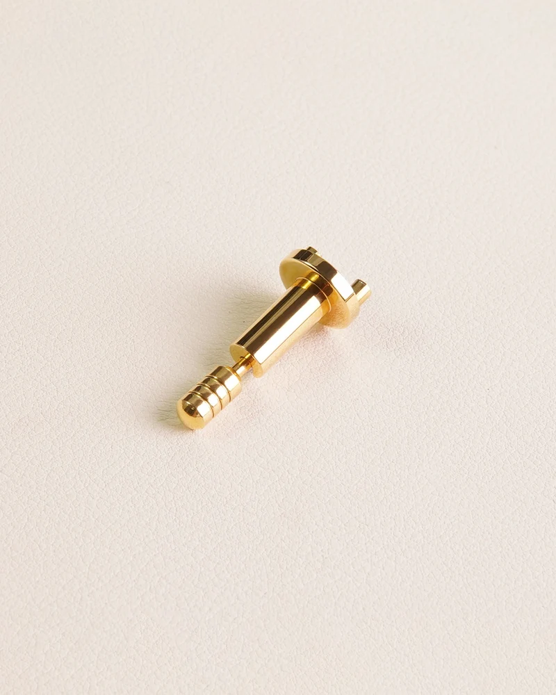 Stainless Steel Latch lock | Gold and Silver
