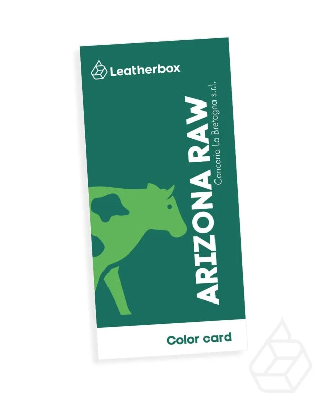 Color Card | Arizona Raw collection