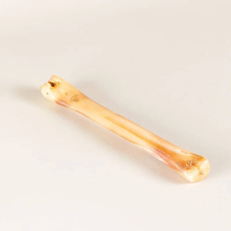 Polishing bone