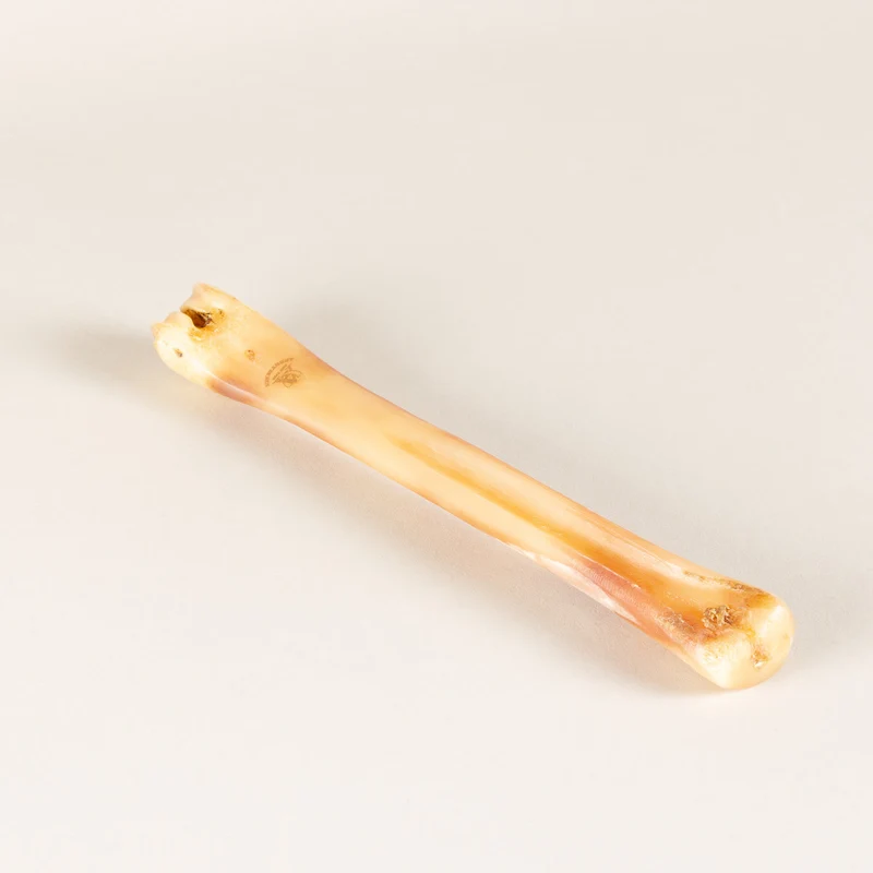 Polishing bone