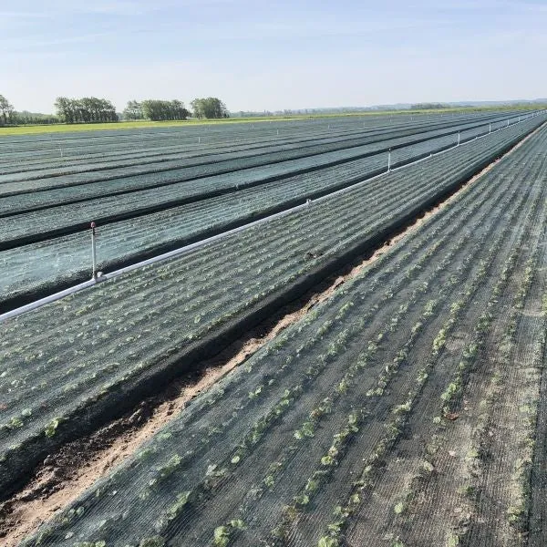Schaduwnet groen