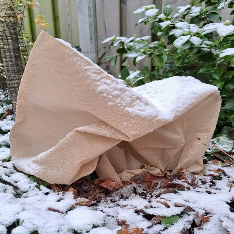 Winterhoes planten
