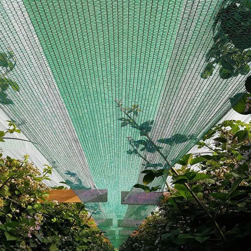 Schermgaas