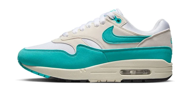 Nike Air Max 1 Dusty Cactus